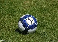 足赛日程,蜘蛛池技术,世界杯历史,JDB财神捕鱼官网,JDB财神捕鱼官网登录,JDB财神捕鱼官方网站,JDB财神捕鱼游戏