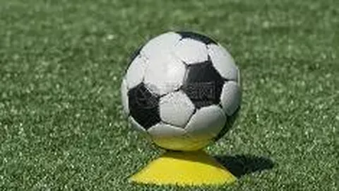 JDB财神捕鱼官方网站 产品 084233 cfz